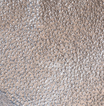 Matcha Latte Rough - Pop Up Foil - 15cm x27 cm ( s )